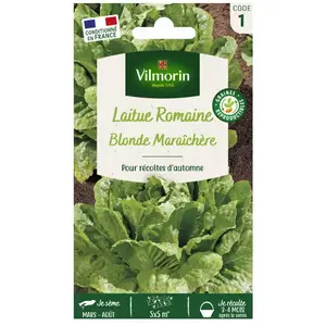 VILMORIN Laitue Romaine Blonde maraichère