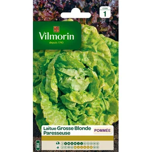 VILMORIN Laitue Pommee Grosse blonde paresseuse pas cher