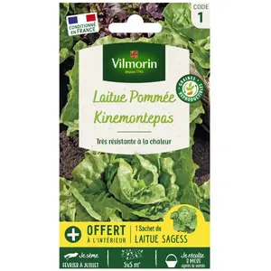 VILMORIN Laitue Pommee Kinemontepas + échantillon laitue pommee Sagess pas cher