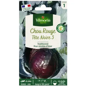 VILMORIN Chou rouge Tête noire 3 pas cher