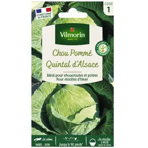 VILMORIN Chou Cabus Quintal d'Alsace