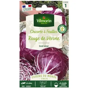 VILMORIN Chicorée à larges feuilles rouges de Vérone pas cher