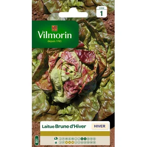 Graines de laitue variété "Brune d'hiver" Vilmorin semis de août à septembre pas cher