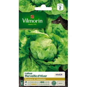 VILMORIN Laitue d’hiver Merveille d’hiver pas cher