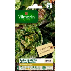 Graines de laitue variété "Rougette de Montpellier" Vilmorin semis de août à septembre pas cher