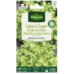 VILMORIN Laitue à couper feuille de Chêne blonde graines noires pas cher