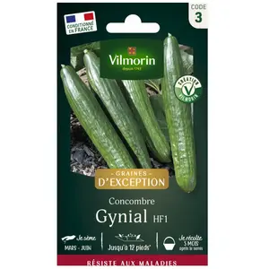 VILMORIN Concombre Gynial HF1 Création Vilmorin