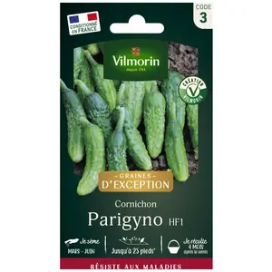 VILMORIN Cornichon Parigyno HF1 Création Vilmorin pas cher