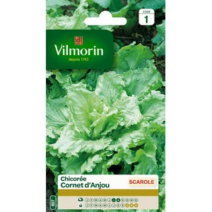 VILMORIN Chicorée scarole Cornet d Anjou pas cher
