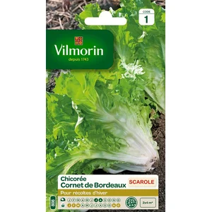 VILMORIN Chicorée scarole cornet de Bordeaux pas cher