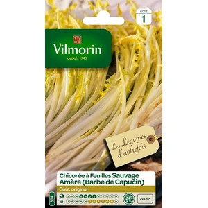 VILMORIN Chicorée à larges feuilles amère type Barbe de Capucin pas cher