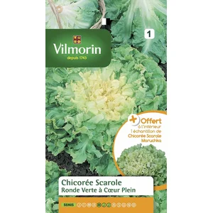 Vilmorin Sachet graines Chicorée Scarole Ronde Verte à Coeur Plein pas cher