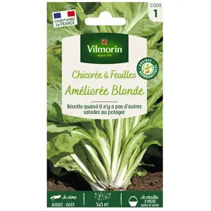 VILMORIN Sachet graines Chicorée à feuilles améliorée blonde pas cher