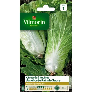 VILMORIN Chicorée à larges feuilles améliorée Pain de Sucre pas cher