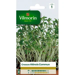 VILMORIN Cresson alenois commun pas cher
