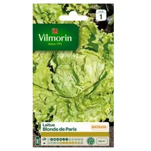 VILMORIN Laitue Batavia Blonde de Paris