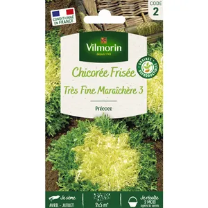 VILMORIN Chicorée frisée très fine maraîchère 3 pas cher