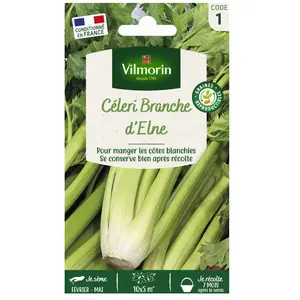 VILMORIN Céleri branche d’Elne