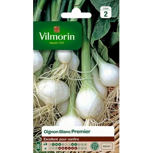 VILMORIN Oignon blanc premier pas cher