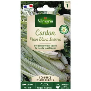 VILMORIN Cardon plein blanc inerne pas cher
