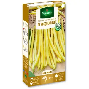 VILMORIN Haricot Rocquencourt Sachet de graines