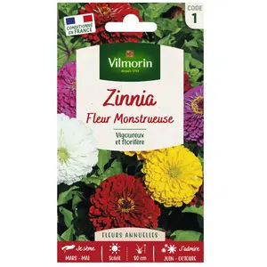 VILMORIN Zinnia a fleur monstrueuse varie