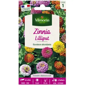 VILMORIN Zinnia Lilliput varie pas cher