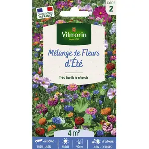VILMORIN Jolies fleurs d ete en mélange pas cher