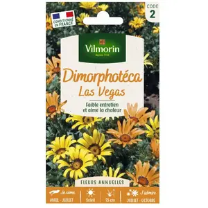 VILMORIN Dimorphoteca Las Vegas varié pas cher