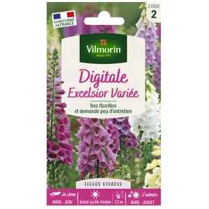 VILMORIN Digitale variée pas cher