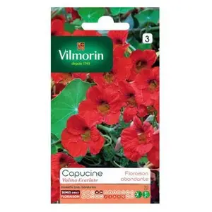 Graines de Capucine Valina Ecarlate Vilmorin pas cher