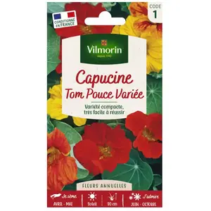 VILMORIN Capucine Tom Pouce variée naine pas cher