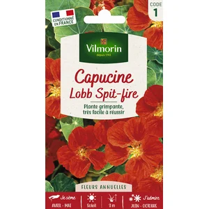 VILMORIN Capucine de lobb spit fire rouge