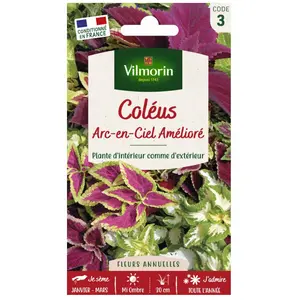 VILMORIN Coleus Arc en ciel amélioré pas cher