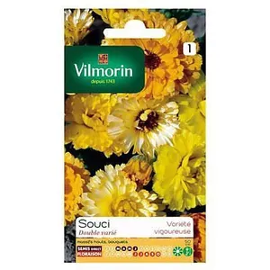 VILMORIN Souci double varie