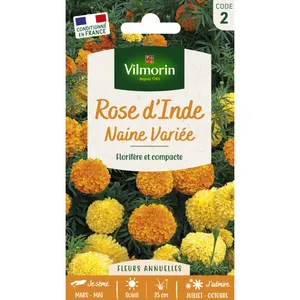 Comparateur de prix : VILMORIN Rose d’Inde naine variée