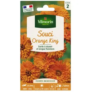 VILMORIN Souci Orange King orange pas cher