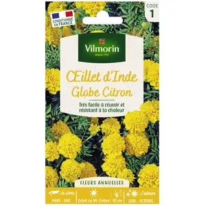 VILMORIN Oeillet d'Inde Globe citron pas cher