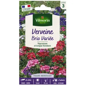VILMORIN Sachet graines Verveine Brio variée pas cher