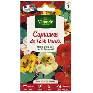 VILMORIN Capucine de lobb variée pas cher