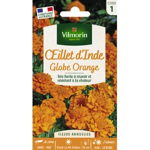 VILMORIN Oeillet d'Inde Globe orange pas cher