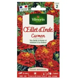 Comparateur de prix : VILMORIN Oeillet d'Inde Carmen brun