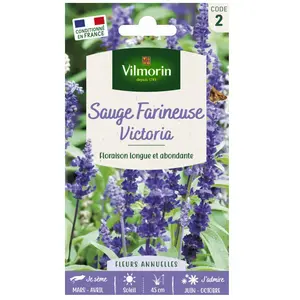 VILMORIN Sauge bleue Victoria pas cher