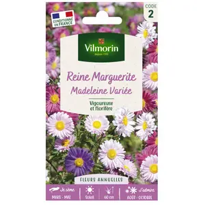 VILMORIN Reine marguerite Madeleine variée pas cher