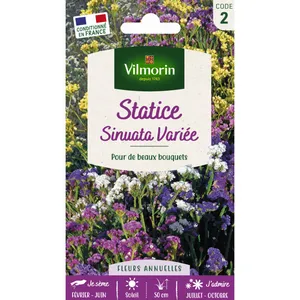 VILMORIN Statice Sinuata variée pas cher