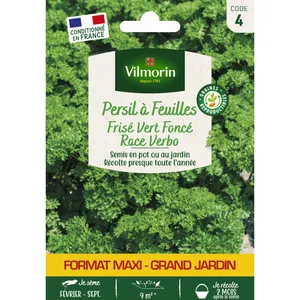 VILMORIN Persil frisé vert verbo gm pas cher