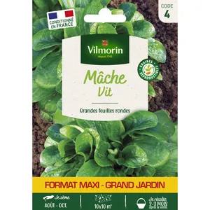 VILMORIN Mâche vit gm pas cher