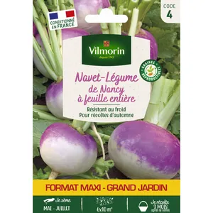 VILMORIN Navet de Nancy à large feuille Grand Jardin pas cher