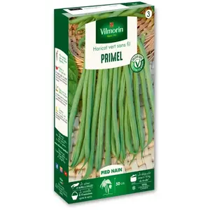 VILMORIN Haricot nain mangetout Primel pas cher