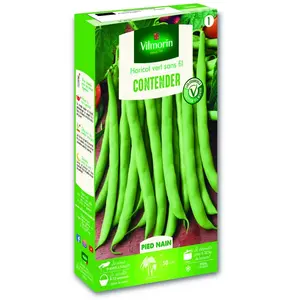 VILMORIN Graines de Haricot nain mangetout Contender